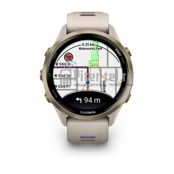 Умные часы Garmin Forerunner 970 Titanium Gold/Grey
