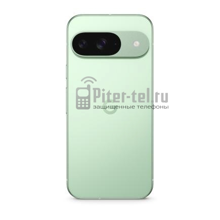 Смартфон Google Pixel 9 12/128Gb Global Wintergreen